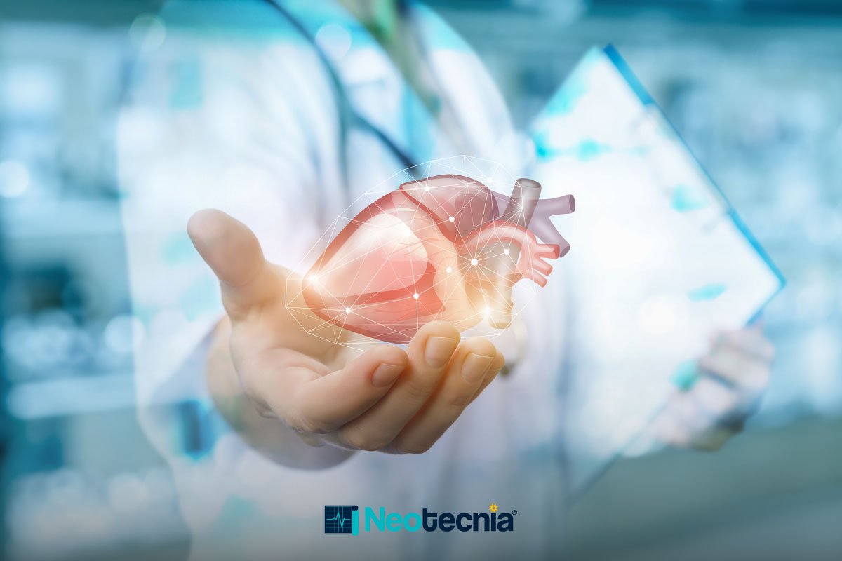 neotecnia funciones y anatomia del corazon